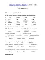 Tải Đề thi giữa kì 1 lớp 8 môn tiếng Anh năm 2019 - 2020 - Đề kiểm tra tiếng Anh 8 mới có đáp án