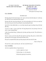 Tải Đề thi học sinh giỏi cấp trường môn Ngữ văn 11 năm học 2017-2018 trường THPT Ngô Thì Nhậm, Ninh Bình - Đề thi học sinh giỏi lớp 11 môn Văn