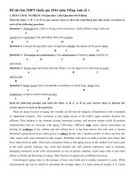 Tải Bộ đề thi thử THPT Quốc gia năm 2016 môn Tiếng Anh - Số 14 - Đề thi thử Đại học môn Tiếng Anh có lời gải chi tiết
