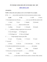 Tải Đề thi học sinh giỏi môn Tiếng Anh lớp 10 năm học 2018 - 2019 số 2 - Bồi dưỡng học sinh giỏi lớp 10 môn Tiếng Anh