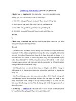 Tải Giải bài tập SGK Sinh học 10 bài 2 - Các giới sinh vật