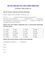 Tải Đề kiểm tra tiếng Anh lớp 6 học kì 2 năm 2019 - 2020 số 3 - Đề tiếng Anh lớp 6 kì 2 có đáp án