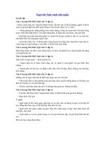 Tải Soạn bài Ngữ cảnh siêu ngắn - Soạn văn 11 siêu ngắn