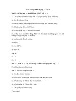 Tải Giải bài tập SBT Vật lý 12 bài 27 - Tia hồng ngoại và tia tử ngoại