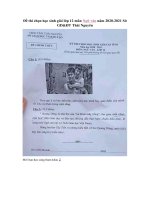 Tải Đề thi chọn học sinh giỏi lớp 12 môn Ngữ văn năm 2020-2021 Sở GD&ĐT Thái Nguyên - Đề thi học sinh giỏi môn Ngữ văn 12