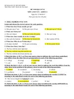 Tải Đề thi học kỳ 2 môn Tiếng Anh lớp 11 trường THPT Trần Hưng Đạo, TP Hồ Chí Minh năm học 2016 - 2017 có đáp án - Đề kiểm tra kì 2 môn tiếng Anh lớp 11 có đáp án
