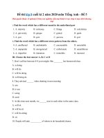 Tải Đề thi lớp 8 cuối kì 2 năm 2020 môn Tiếng Anh - Đề 5 - Đề kiểm tra tiếng Anh học kỳ 2 lớp 8 có đáp án