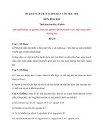 Tải Đề khảo sát chất lượng đầu năm lớp 8 môn Hóa 2020 - 2021 - Đề 9 - Đề thi khảo sát đầu năm lớp 8 môn Hóa có đáp án