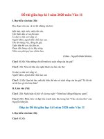 Tải Đề thi giữa học kì I năm 2020 môn Văn 11 (Đề 2) - Đề kiểm tra giữa học kì 1 môn Ngữ Văn lớp 11 có đáp án