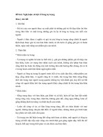 Tải Nghị luận xã hội về lòng tự trọng - Bài văn mẫu lớp 11