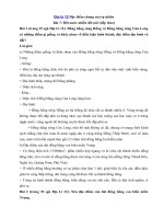 Tải Giải bài tập SGK Địa lý lớp 12 Bài 7: Đất nước nhiều đồi núi (tiếp theo) - Giải bài tập 1, 2, 3 trang 35 sách giáo khoa Địa lí 12