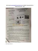 Tải Đề thi chọn học sinh giỏi lớp 9 môn Ngữ văn Sở GD&ĐT Thành phố Hồ Chí Minh năm học 2019 - 2020 - Đề kiểm tra HSG lớp 9 môn Văn