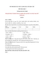 Tải Đề khảo sát chất lượng đầu năm lớp 9 môn Hóa 2020 - 2021 - Đề số 8 - Đề thi khảo sát chất lượng đầu năm lớp 9