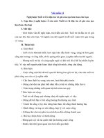 Tải Nghị luận Tuổi trẻ là đặc ân vô giá của tạo hóa ban cho bạn - Dàn ý + Bài văn mẫu nghị luận xã hội hay