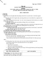 giao-an-su-11-ca-nam-phuong-phap-moi