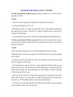 Tải Giải bài tập SGK Sinh học 10 bài 6: Axit nuclêic - Giải bài tập SGK Sinh học 10 rút gọn bài 6