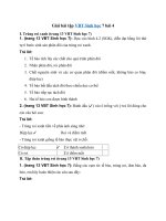 Tải Giải vở bài tập Sinh học 7 bài 4 - Trùng roi