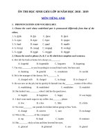 Tải Đề thi học sinh giỏi môn Tiếng Anh lớp 10 năm học 2018 - 2019 số 5 - Luyện thi học sinh giỏi lớp 10 môn Tiếng Anh cấp tỉnh