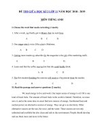 Tải Đề kiểm tra giữa học kì 2 lớp 11 môn Tiếng Anh năm học 2018 - 2019 số 2 - Ôn thi giữa kì 2 môn Tiếng Anh lớp 11