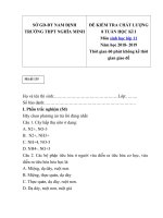 Tải Đề kiểm tra giữa học kì 1 môn Sinh học 11 năm học 2018-2019 trường THPT Nghĩa Minh, Nam Định - Đề thi giữa học kì 1 môn Sinh học 11 có đáp án