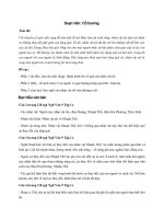 Tải Soạn Văn 9: Cố hương - Soạn Văn lớp 9 tập 1