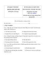Tải Đề KSCL đầu năm môn Lịch sử lớp 10 năm học 2019-2020 trường THPT Liễn Sơn, Vĩnh Phúc - Đề kiểm tra đầu năm môn Lịch sử 10 có đáp án