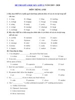 Tải Đề thi thử giữa kì 1 lớp 11 môn tiếng Anh năm 2019 - 2020 - Đề kiểm tra tiếng Anh 11 mới