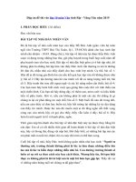 Tải Đáp án đề thi vào lớp 10 môn Văn tỉnh Bà Rịa - Vũng Tàu năm 2019 - Đề thi Văn vào lớp 10 năm 2019 có đáp án