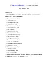 Tải Đề thi học kì 2 lớp 9 môn Tiếng Anh có file nghe năm học 2018 - 2019 số 2 - Đề thi cuối kì 2 môn Tiếng Anh lớp 9 có đáp án