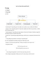 Tải Soạn Văn: Ôn tập và kiểm tra phần Tiếng Việt - Soạn Văn lớp 8 tập 1