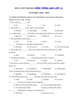 Tải Đề thi học sinh giỏi môn Tiếng Anh lớp 11 năm học 2018 - 2019 số 12 - Ôn thi học sinh giỏi lớp 11 môn Tiếng Anh cấp tỉnh