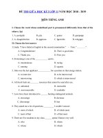 Tải Đề kiểm tra giữa học kì 2 lớp 11 môn Tiếng Anh năm học 2018 - 2019 số 3 - Đề kiểm tra Tiếng Anh lớp 11 giữa kì 2