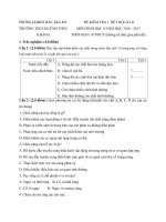 Tải Đề kiểm tra 1 tiết học kì 2 môn Sinh học lớp 8 trường THCS Huỳnh Thúc Kháng, Quảng Nam năm học 2016 - 2017 - Đề kiểm tra giữa học kì II môn Sinh lớp 8 có đáp án