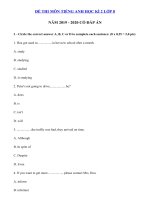 Tải Bài tập Tiếng Anh lớp 8 học kì 2 năm 2019 - 2020 - Ôn tập Tiếng Anh lớp 8 có đáp án