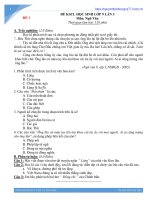 10 đề KHẢO sát văn 9 lần 3 