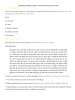 Tải Giải bài tập SGK tiếng Anh lớp 11: Test Yourself D (Trang 133-134-135) - Để học tốt Tiếng Anh lớp 11