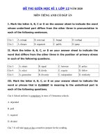 Tải Đề kiểm tra giữa học kỳ 1 môn tiếng Anh lớp 12 trường THPT Nguyễn Trãi, Thái Bình - Đề thi giữa học kì 1 lớp 12 môn Anh có đáp án