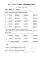Tải Đề thi học sinh giỏi môn Tiếng Anh lớp 11 năm học 2018 - 2019 số 13 - Bồi dưỡng học sinh giỏi cấp tỉnh thành phố môn Tiếng Anh 11