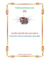 tuyen tap de thi vao lop 10 chuyen mon toan nam hoc 2019 2020 