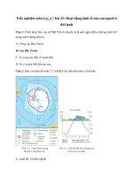 Tải Trắc nghiệm Địa lí 7 bài 22 - Hoạt động kinh tế của con người ở đới lạnh