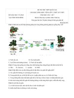 Tải Đề thi thử THPT Quốc gia năm 2017 môn Sinh học Sở GD&ĐT Ninh Bình - Đề thi thử đại học môn Sinh học năm 2017 Có đáp án