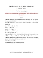 Tải Đề khảo sát chất lượng đầu năm lớp 9 môn Hóa 2020 - 2021 - Đề số 9 - Đề thi khảo sát chất lượng đầu năm lớp 9 có đáp án