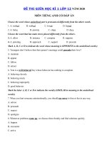 Tải Đề kiểm tra giữa kì 1 môn tiếng Anh lớp 12 có đáp án - Đề thi giữa kì 1 lớp 12 môn tiếng Anh năm 2020 - 2021