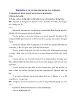 Tải Soạn bài Luyện tập vận dụng kết hợp các thao tác lập luận - Soạn bài môn Ngữ văn lớp 12 học kì I