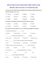 Tải Đề thi thử tiếng Anh vào lớp 6 trường Nguyễn Tất Thành, Hà Nội năm 2020 số 2 - Đề thi tuyển sinh lớp 6 môn tiếng Anh có đáp án