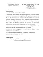 Tải Đề thi khảo sát chất lượng đầu năm môn Ngữ văn lớp 7 trường THCS Cẩm Vũ, Hải Dương năm học 2016 - 2017 - Đề kiểm tra đầu năm môn Văn 7 có đáp án