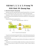 Tải Giải bài tập trang 70 SGK Sinh học lớp 10: Quang hợp - Giải bài tập môn Sinh học lớp 10