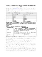 Tải Giải bài tập VBT Sinh học lớp 9 bài 41: Môi trường và các nhân tố sinh thái - Giải bài tập môn Sinh học lớp 9