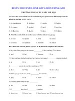 Tải Đề thi tiếng Anh vào lớp 6 trường THCS Archimedes năm 2020 - Đề thi tuyển sinh lớp 6 môn tiếng Anh có đáp án