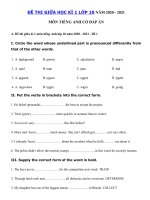 Tải Đề thi giữa học kì 1 môn Tiếng Anh lớp 10 trường THPT Nguyễn Trãi, Thái Bình năm 2020 - Đề kiểm tra tiếng Anh lớp 10 giữa học kì 1 có đáp án